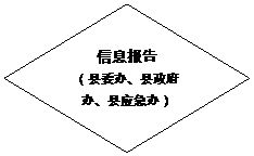 流程图: 决策: 信息报告
（县委办、县政府办、县应急办）
